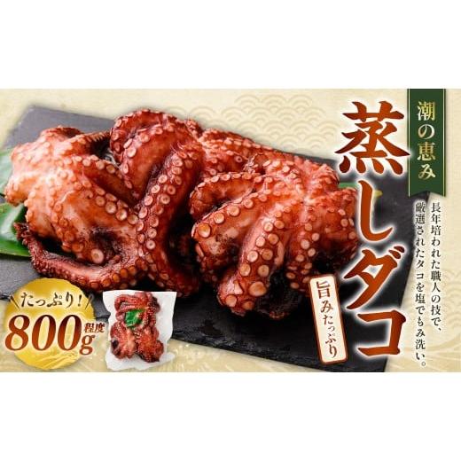 ふるさと納税 タコ 大阪府 阪南市 潮の恵み 蒸しダコ 1杯(800g程度) 蛸 タコ たこ 蒸しだこ むしダコ マダコ 真ダコ 冷凍