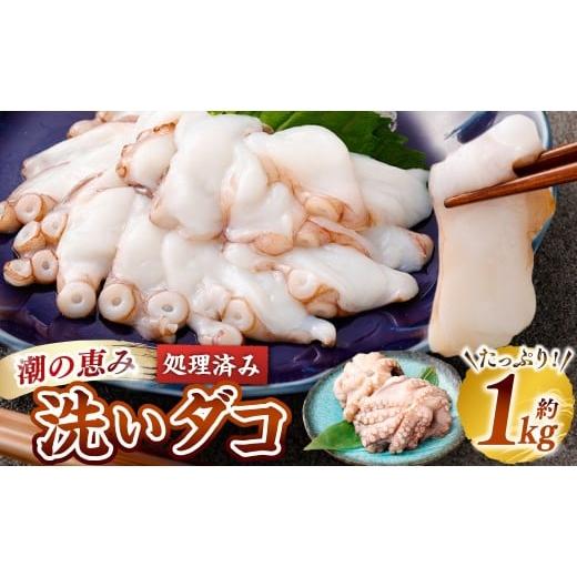 ふるさと納税 タコ 大阪府 阪南市 潮の恵み 洗いだこ 約1kg 蛸 タコ たこ 洗ダコ 生ダコ マダコ 真タコ 処理済 流水解凍 冷凍