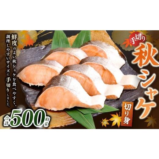 ふるさと納税 魚貝類 鮭 大阪府 阪南市 秋シャケ 切り身 約500g 鮭 さけ サケ 冷凍 手切り