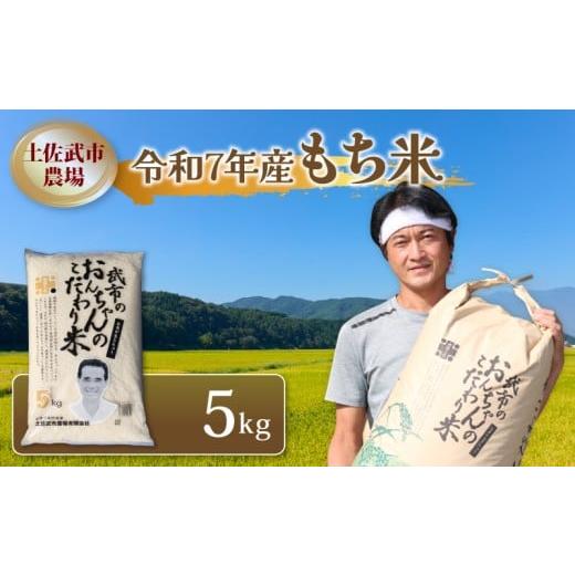 ふるさと納税 米・パン もち米 高知県 南国市 令和7年度 もち米 5キロ 数量限定 減農薬栽培 餅米 もちごめ 白米 低化学肥料 高知県 南国市