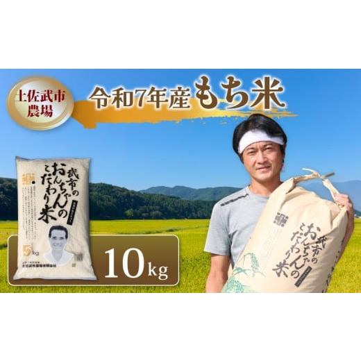 ふるさと納税 米・パン もち米 高知県 南国市 令和7年度 もち米 10キロ 数量限定 減農薬栽培 餅米 もちごめ 白米 低化学肥料 高知県 南国市