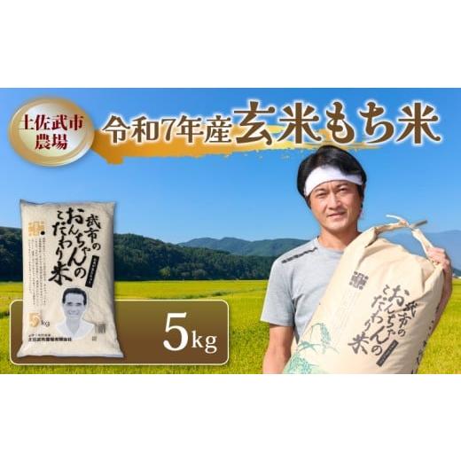 ふるさと納税 米・パン もち米 高知県 南国市 令和7年度 もち米 5キロ 数量限定 減農薬栽培 餅米 もちごめ 玄米 低化学肥料 高知県 南国市