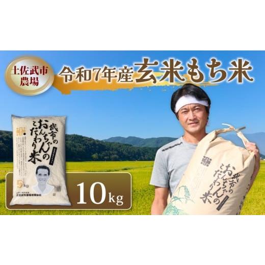 ふるさと納税 米・パン もち米 高知県 南国市 令和7年度 もち米 10キロ 数量限定 減農薬栽培 餅米 もちごめ 玄米 低化学肥料 高知県 南国市