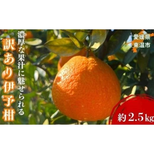 ふるさと納税 みかん・柑橘類 オレンジ 愛媛県 東温市 訳あり伊予柑 約2.5kg 東温市産 サイズお任せ 今が旬 農園直送 みかん 人気 数量限定 先行予約 柑橘 蜜…