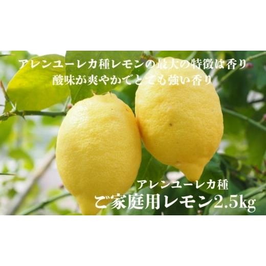 ふるさと納税 みかん・柑橘類 レモン 愛媛県 東温市 アレンユーレカ種レモンkg ご家庭用 サイズお任せ 今が旬 農園直送 れもん 人気 数量限定 先行予約 柑橘 …