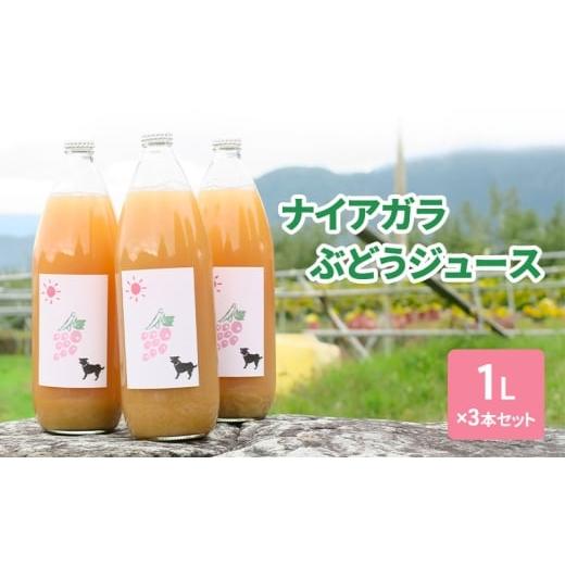 ふるさと納税 野菜類 ジュース 長野県 山ノ内町 ナイアガラぶどうジュース1L×3本セット フルーツ 長野県