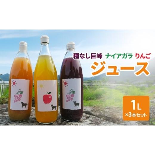 ふるさと納税 野菜類 ジュース 長野県 山ノ内町 種無し巨峰 ナイアガラ りんごジュース1L×3本セット フルーツ 長野県