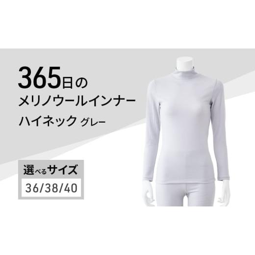 ふるさと納税 服 女 兵庫県 加西市 365日のメリノウールインナー advance ハイネック グレー サイズ:40 40