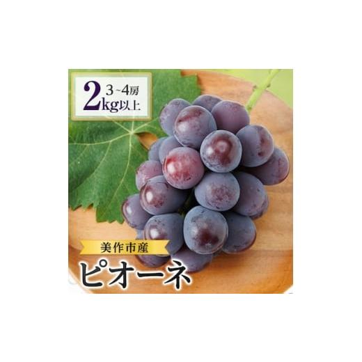 ふるさと納税 ぶどう 岡山県 美作市 2026年先行受付 美作市産ピオーネ 2kg以上(3〜4房) 1147830