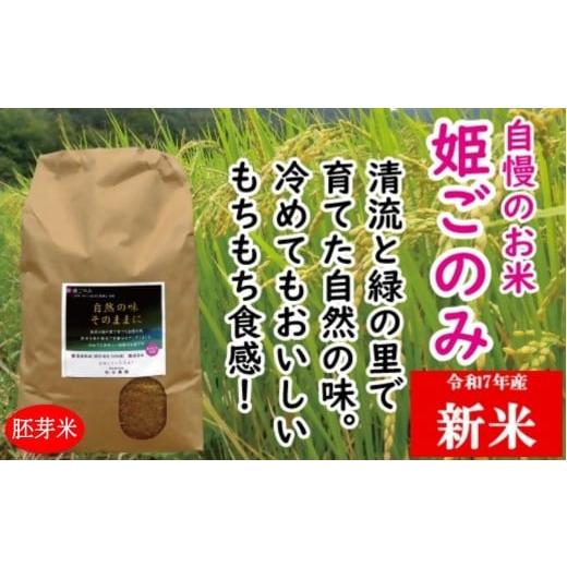 ふるさと納税 玄米 岡山県 和気町 ZZ-24 米 おいしいお米 姫ごのみ(胚芽米)10kg