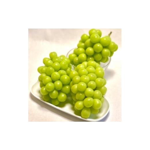 ふるさと納税 ぶどう 山梨県 山梨市 2026年先行受付 見た目は訳あり?味は満足 農福連携シャインマスカット計1kg ご家庭用 1679907