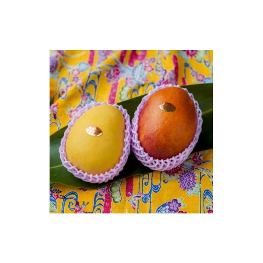 ふるさと納税 マンゴー 沖縄県 中城村 2026年発送・家庭用 頑固おやじのこだわりマンゴー 食べ比べ1kg 糖度20度超えの金蜜マンゴー 1681750