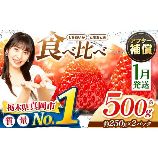 ふるさと納税 いちご 栃木県 真岡市 1月発送 いちご とちおとめ・とちあいか 500g 食べ比べ セット | 苺 イチゴ おいしい 甘い 人気 いちご日本一のまち 栃木…