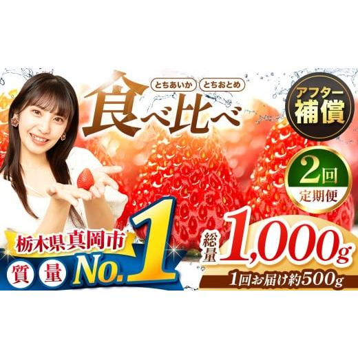 ふるさと納税 いちご 栃木県 真岡市 定期便2回 いちご とちおとめ・とちあいか 500g 食べ比べ セット | 苺 イチゴ おいしい 甘い 人気 いちご日本一のまち 栃…