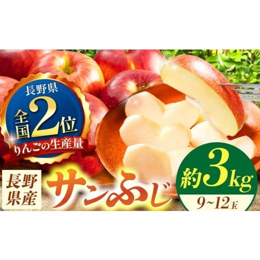 ふるさと納税 りんご 長野県 松本市 信州産 サンふじ約3kg (9〜12玉) | ふるさと納税 果物 くだもの フルーツ サンふじ リンゴ りんご 林檎 信州産 長野県 松…