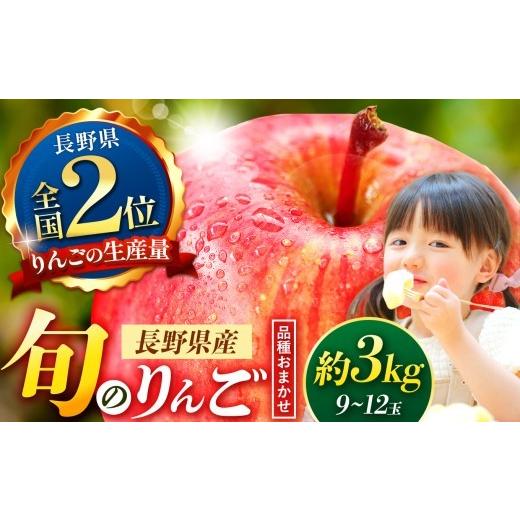 ふるさと納税 りんご 長野県 松本市 先行受付 信州産りんご 品種おまかせ 約3kg (8〜12玉) 秋映・シナノスイート・シナノゴールド・名月・サンふじ・グラニ…