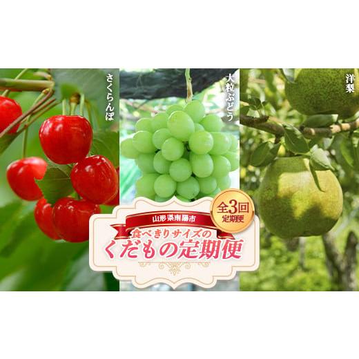 ふるさと納税 果物の詰合せ 山形県 南陽市 令和8年産先行予約 [定期便3回] 食べきりサイズの くだもの定期便 『南陽中央青果市場』 さくらんぼ シャインマ…