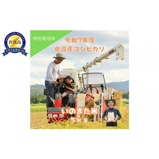 ふるさと納税 米 コシヒカリ 新潟県 佐渡市 令和7年産コシヒカリ 精米(無洗米)5kg 農家直送 佐渡市いのまた米