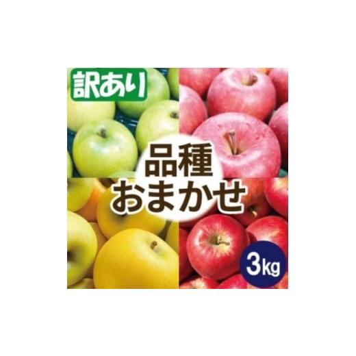 ふるさと納税 りんご 青森県 大鰐町 25年12月出荷予定 りんご 品種おまかせ 約3kg 訳あり 1668106