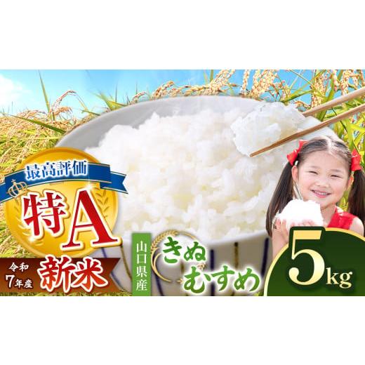 ふるさと納税 米 きぬむすめ 山口県 美祢市 令和7年度産 新米 きぬむすめ 白米 5kg 2026年1月〜より順次発送予定 | 精米 新米 白米 米 雑穀 お米 コメ 単一米…