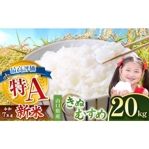 ふるさと納税 米 きぬむすめ 山口県 美祢市 令和7年度産 きぬむすめ 白米 20kg 2026年3月上旬 〜 順次発送予定 | 精米 白米 米 雑穀 お米 コメ 単一米 きぬむ…