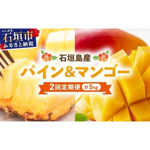 ふるさと納税 果物類 沖縄県 石垣市 期間限定 春フェア 2026年5月から発送 2回定期便 石垣島産パイナップル 約4kg ・マンゴー約1kgセット KP-21 パイナップル…