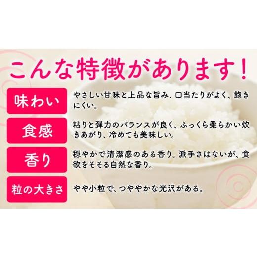 ふるさと納税 米 福岡県 鞍手町 3ヶ月定期便 夢つくし 令和7年産 10kg 白米 《定期便：お申し込みの翌月から出荷》 お米 ごはん ご飯 rice kome 10kg(5kg×2…_3