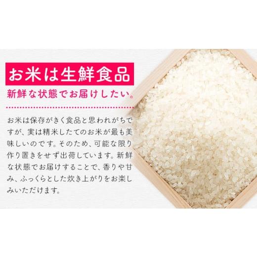 ふるさと納税 米 福岡県 鞍手町 3ヶ月定期便 夢つくし 令和7年産 10kg 白米 《定期便：お申し込みの翌月から出荷》 お米 ごはん ご飯 rice kome 10kg(5kg×2…_4