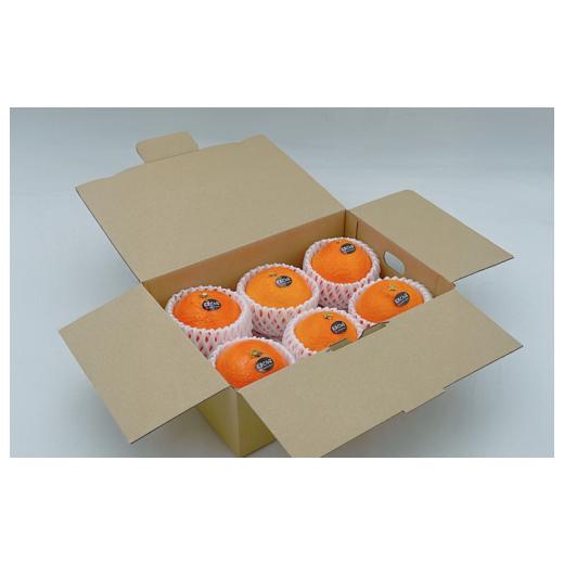 ふるさと納税 果物類 みかん 愛媛県 今治市 紅まどんな 5~6個 2L~3Lサイズ K002930