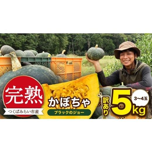 ふるさと納税 野菜類 茨城県 つくばみらい市 訳アリ 完熟かぼちゃ ブラックのジョー 5kg(3〜4玉) かぼちゃ 生かぼちゃ ほくほく ねっとり 甘い 国産 茨城県…