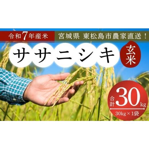 ふるさと納税 米 ササニシキ 宮城県 東松島市 令和7年産 新米 ササニシキ 玄米 30kg × 1袋 宮城県産東松島市農家直送 ささにしき 米 ご飯 ごはん おにぎり …