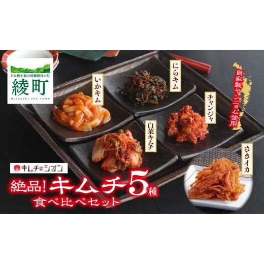 ふるさと納税 加工品等 キムチ 宮崎県 綾町 キムチのシオン 絶品 キムチ 5種 食べ比べセット