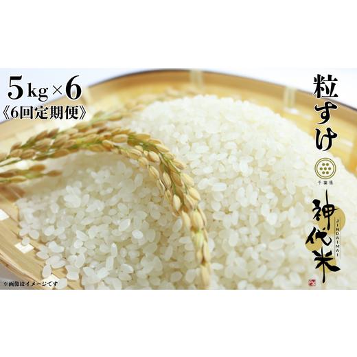 ふるさと納税 米 千葉県 東庄町 《6回定期便》神代米（粒すけ）　精白米　5kg ／ 米 こめ コメ ごはん ご飯 神代米 粒すけ 令和7年産 精米 5kg 定期便 送料無…_1