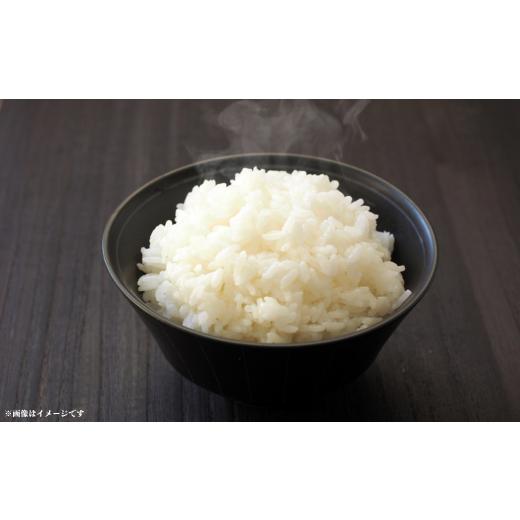 ふるさと納税 米 千葉県 東庄町 《6回定期便》神代米（粒すけ）　精白米　5kg ／ 米 こめ コメ ごはん ご飯 神代米 粒すけ 令和7年産 精米 5kg 定期便 送料無…_2
