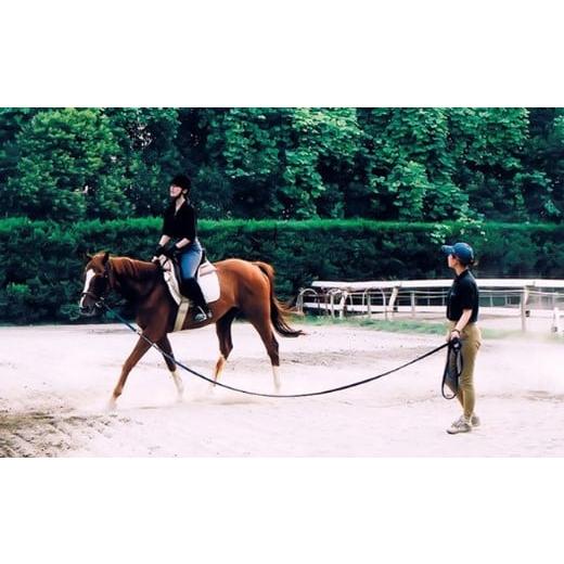 ふるさと納税 体験チケット 千葉県 四街道市 四街道グリーンヒル乗馬クラブ 店頭利用券 16500円分 / 乗馬体験 ビジターレッスン 1回使い切り