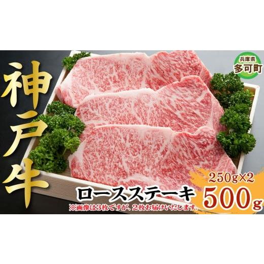 ふるさと納税 牛肉 ステーキ 兵庫県 多可町 神戸牛 ロースステーキ 500g TKST5 1212