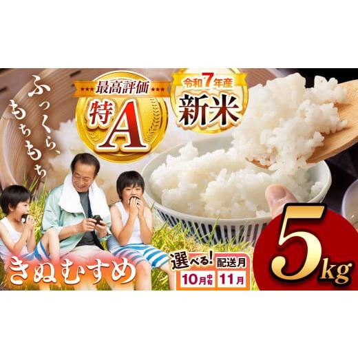 ふるさと納税 米 きぬむすめ 山口県 美祢市 令和7年度産 新米 きぬむすめ 白米 5kg 2025年12月より順次発送予定 | 精米 新米 白米 米 お米 コメ 単一米 きぬ…