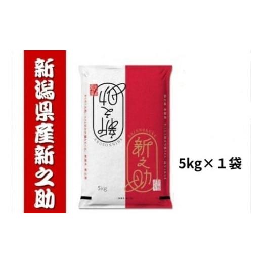 ふるさと納税 米 新潟県 阿賀野市 令和7年産新米 新之助 5kg 白米 精米 井上米穀店 1I26019