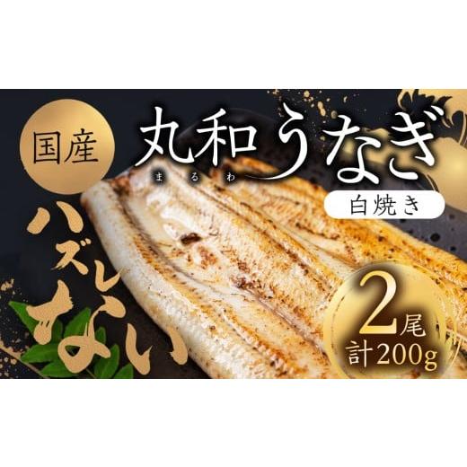 ふるさと納税 うなぎ 愛知県 豊橋市 ハズレない 国産 うなぎ 白焼き 2尾 100g 中サイズ 計200g 国産うなぎ 鰻 厳選 ウナギ かば焼き 丑の日 高級 贅沢 ご褒美 …