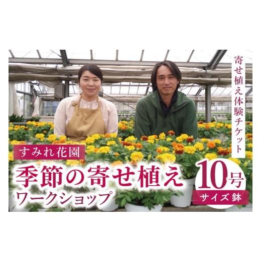 ふるさと納税 雑貨・日用品 花 茨城県 行方市 行方市の花農家「すみれ花園」季節の寄せ植えワークショップ(10号サイズ鉢)|花 お花 季節の花 ワークショップ …