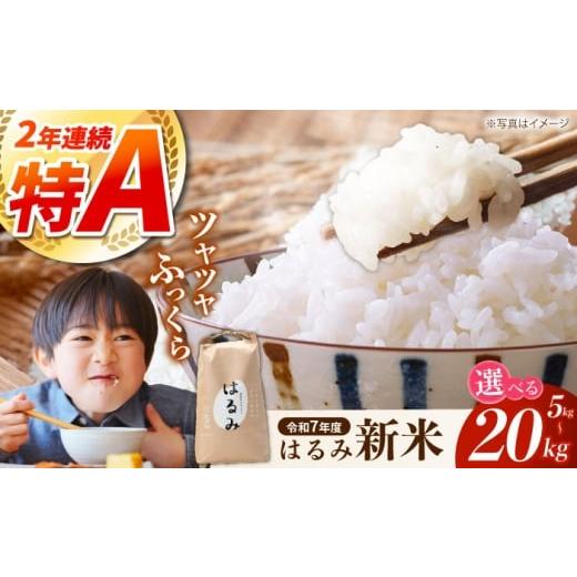 ふるさと納税 米 神奈川県 開成町 先行予約 特Aランク受賞実績あり はるみ 5kg 遠藤ファーム 開成町 米 ご飯 白米 お米 特A