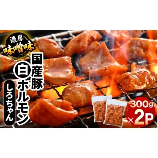 ふるさと納税 豚肉 ホルモン 福井県 坂井市 国産豚 白ホルモン しろちゃん 濃厚味噌味 300g × 2p (計600g) 豚 豚肉 ぶた ホルモン ほるもん 豚腸 味噌 濃厚 …