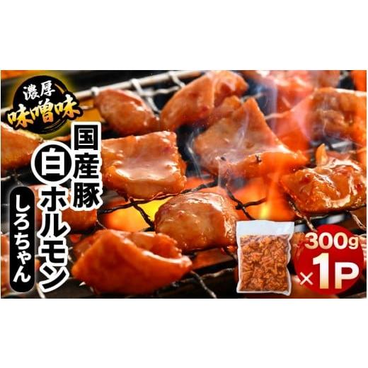 ふるさと納税 豚肉 ホルモン 福井県 坂井市 国産豚 白ホルモン しろちゃん 濃厚味噌味 300g × 1p 豚 豚肉 ぶた ホルモン ほるもん 豚腸 味噌 濃厚 おつまみ …