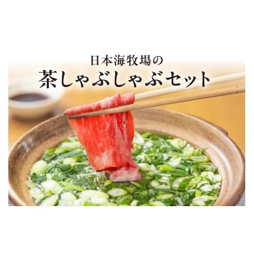 ふるさと納税 牛肉 しゃぶしゃぶ 京都府 京丹後市 1月発送:日本海牧場の茶しゃぶしゃぶセット(京たんくろ和牛) お肉 肉 牛肉 国産 しゃぶしゃぶ 鍋 セット…