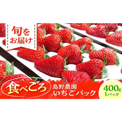 ふるさと納税 いちご 神奈川県 横須賀市 先行予約 数量限定40セット 島野農園のいちご(400g×1パック)紅ほっぺ ほしうらら スターナイト 島野農園 AKHV…
