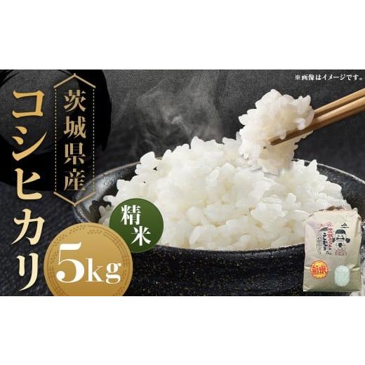 ふるさと納税 米 コシヒカリ 茨城県 守谷市 令和7年産 茨城県産コシヒカリ 精米 5kg お米 米 コメ こめ おこめ 白米 ごはん ご飯 コシヒカリ こしひかり 茨城…