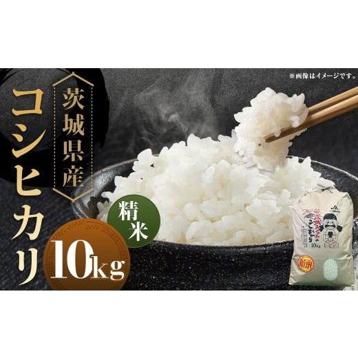ふるさと納税 米 コシヒカリ 茨城県 守谷市 令和7年産 茨城県産コシヒカリ 精米 10kg お米 米 コメ こめ おこめ 白米 ごはん ご飯 コシヒカリ こしひかり 茨…