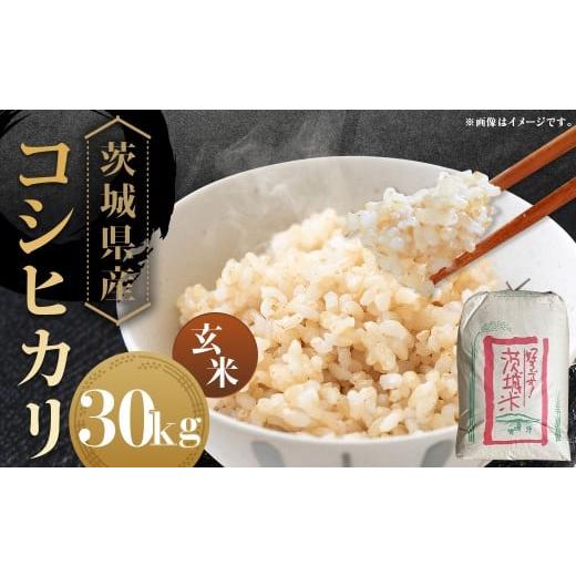 ふるさと納税 米 コシヒカリ 茨城県 守谷市 令和7年産 茨城県産コシヒカリ 玄米 30kg お米 米 コメ こめ おこめ ごはん ご飯 コシヒカリ こしひかり 茨城県 …
