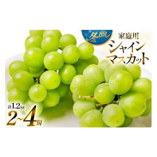 ふるさと納税 ぶどう マスカット 山形県 高畠町 期間限定発送 2026年 冬出し 訳あり 家庭用 シャインマスカット 1.2kg (2〜4房) いわた果樹園 山形県 高畠町 …