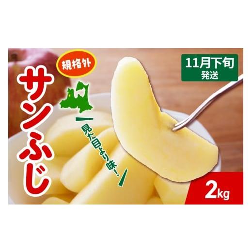 ふるさと納税 りんご 青森県 五所川原市 2025年11月下旬発送 りんご サンふじ 約 2kg 規格外 程度 青森 五所川原 不揃い サン ふじ りんご規格外 11月下旬発…
